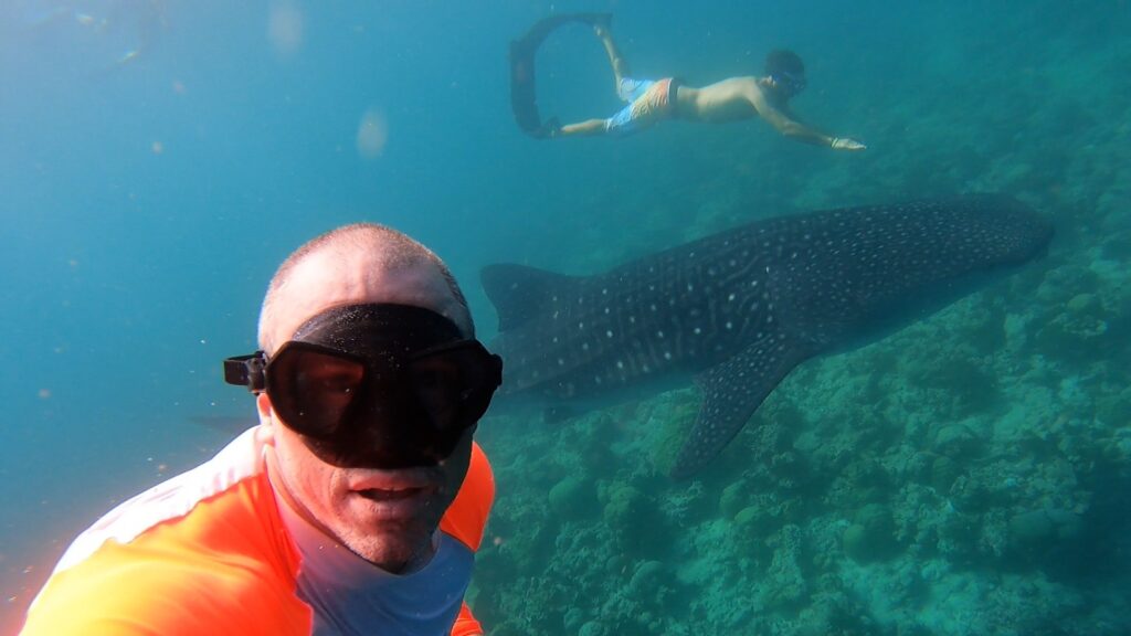 swim camp maldives חופשת שחייה במלדיבים (20)