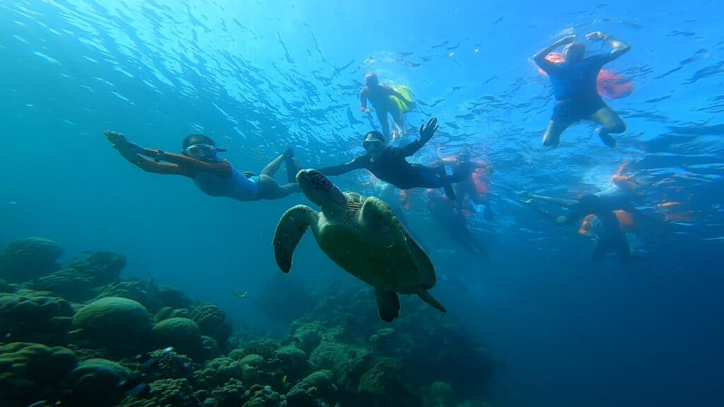 swim camp maldives חופשת שחייה במלדיבים (3)