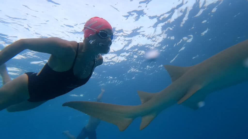 swim camp maldives חופשת שחייה במלדיבים (6)