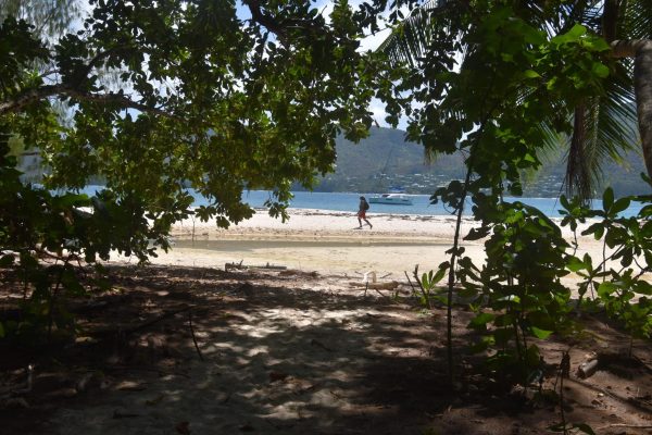 Seychelles swim camp חופשת שחייה בסיישל (4)