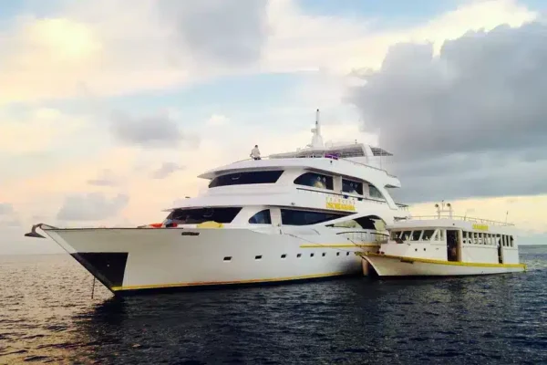princess-dhonkamana-liveaboard-maldives-5