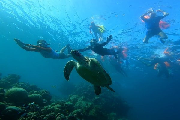 swim camp maldives חופשת שחייה במלדיבים (3)
