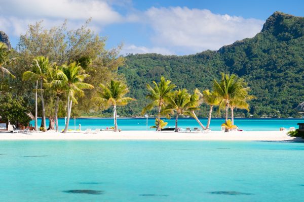 Panorama of perfect beach with coconut palms in French Polynesia